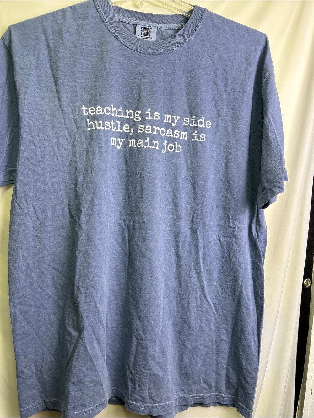 "teaching is my side hustle, sarcasm is my main job" - Blue